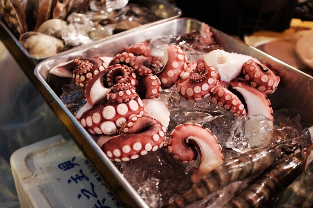 Fresh cuttlefish and squid packed on ice