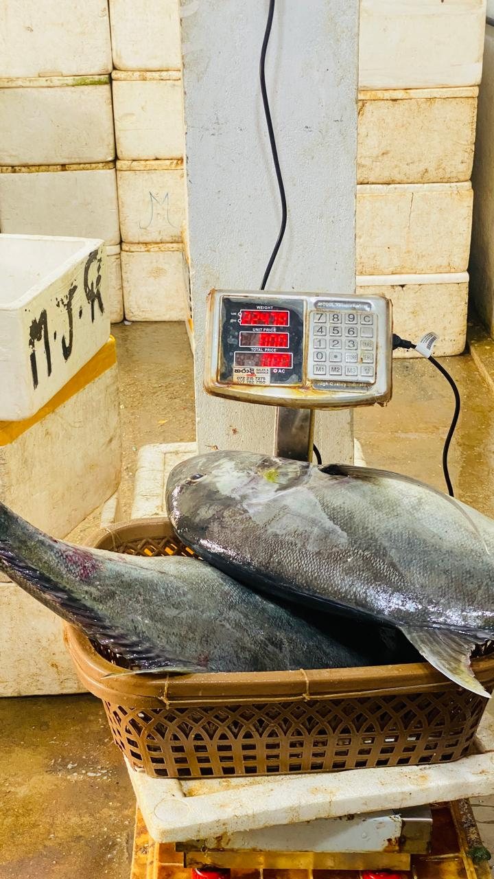 Weighed and recorded before despatch
