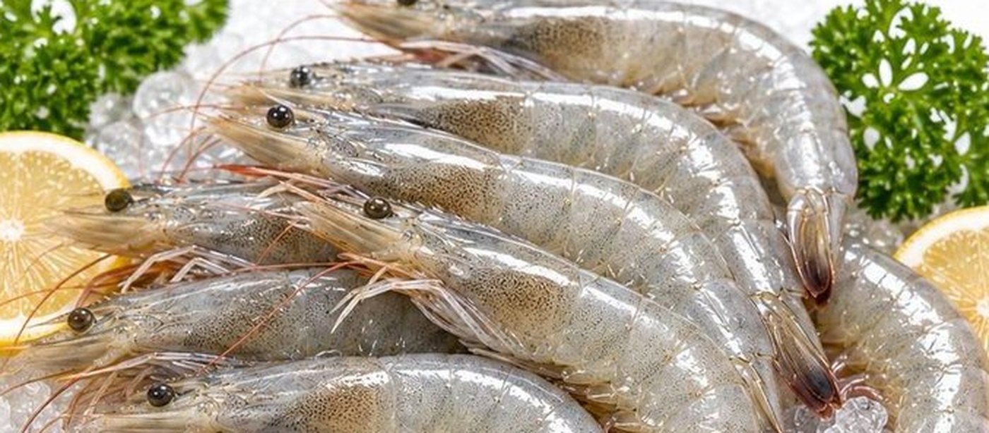 Farm Prawns supplied by Metaglobe Trading