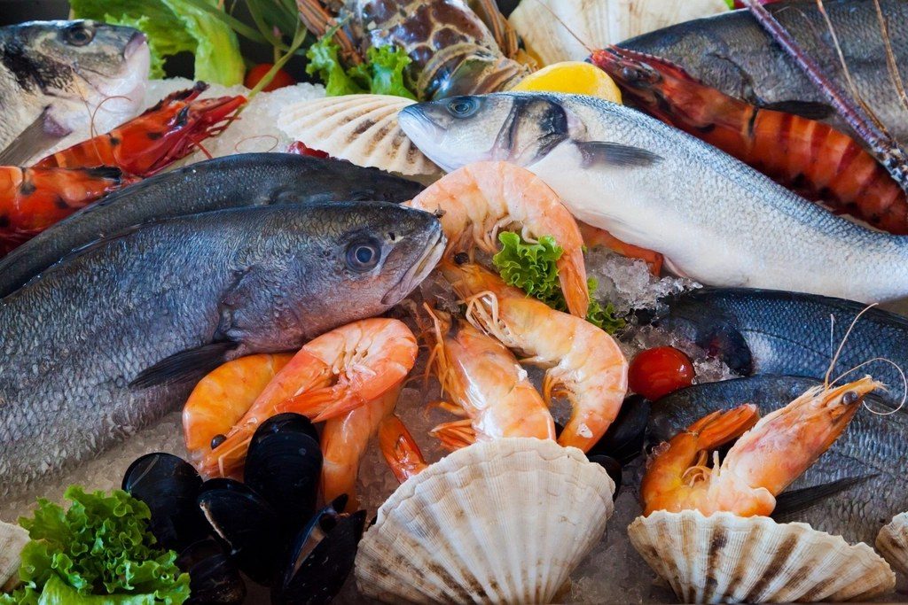 An assortment of fresh seafood on display