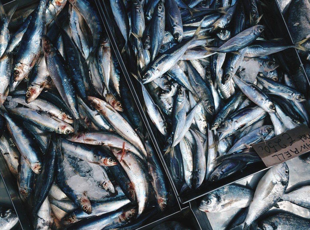 Crates of small pelagic fish at a landing site